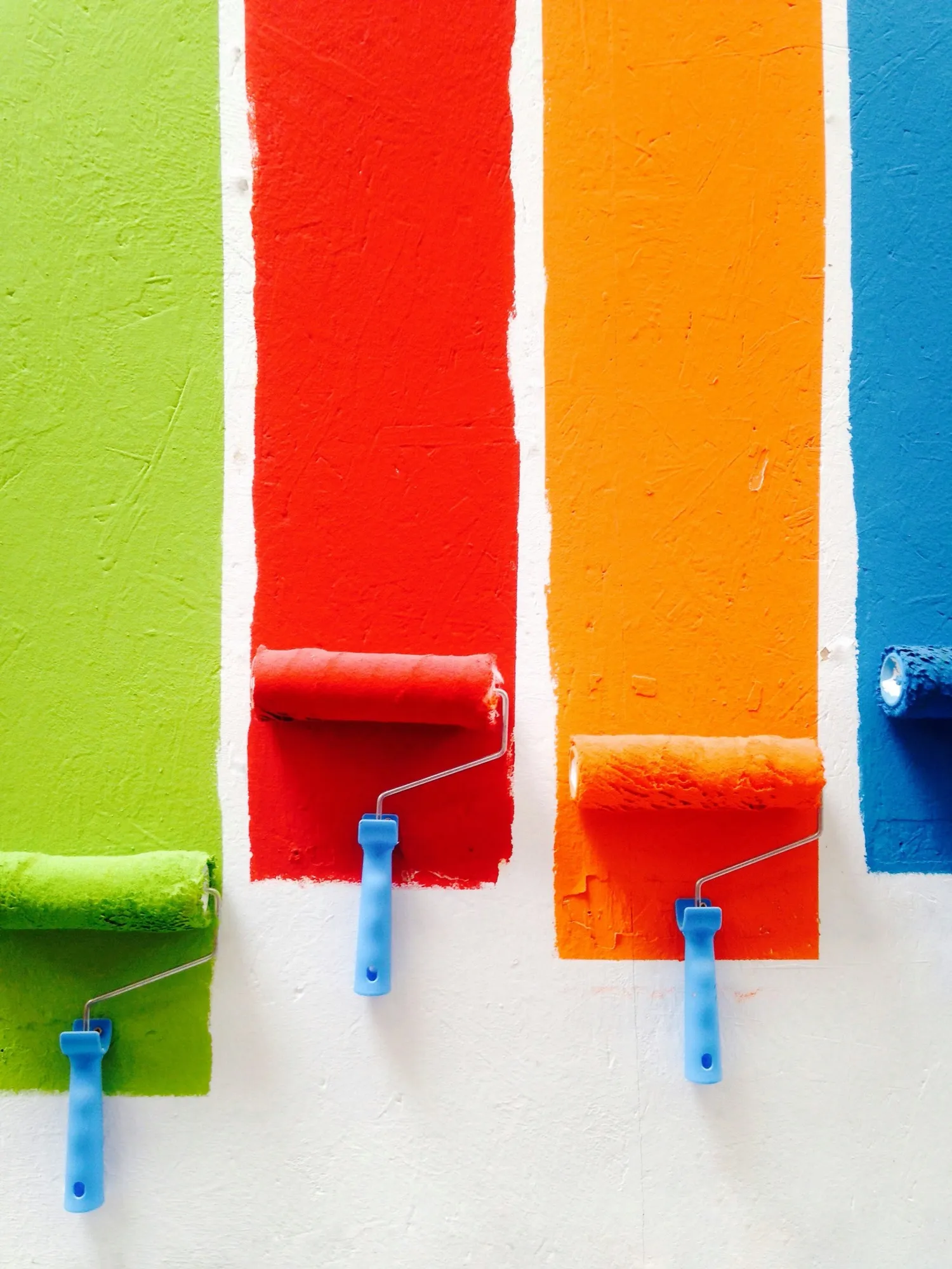Bold colour samples