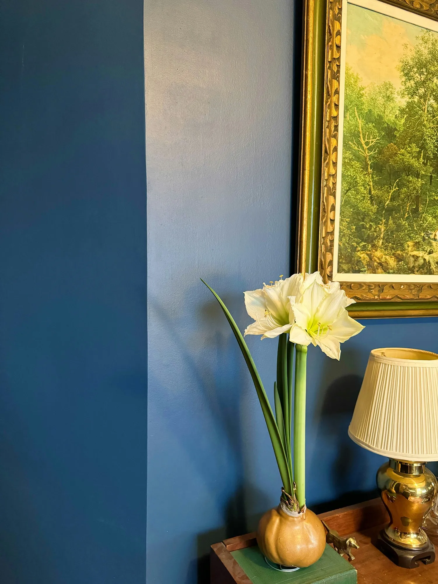 Deep blue feature wall